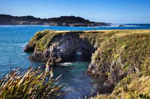 Mendocino headlands-2164